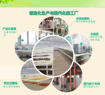 【同享】食品嶺南特色廣式加應子蜜餞果脯涼果類零食125g&times;10【全國包郵】