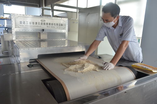 微波干燥機設(shè)備在食品加工業(yè)的應(yīng)用特點