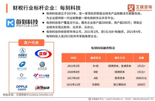 2021上半年中國財稅類企業(yè)服務(wù)專題研究報告 社會經(jīng)濟(jì)咨詢服務(wù)的發(fā)展趨勢與挑戰(zhàn)