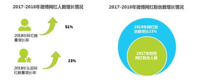 中國(guó)網(wǎng)紅經(jīng)濟(jì) 從流量到財(cái)富的驚人轉(zhuǎn)化與深遠(yuǎn)影響